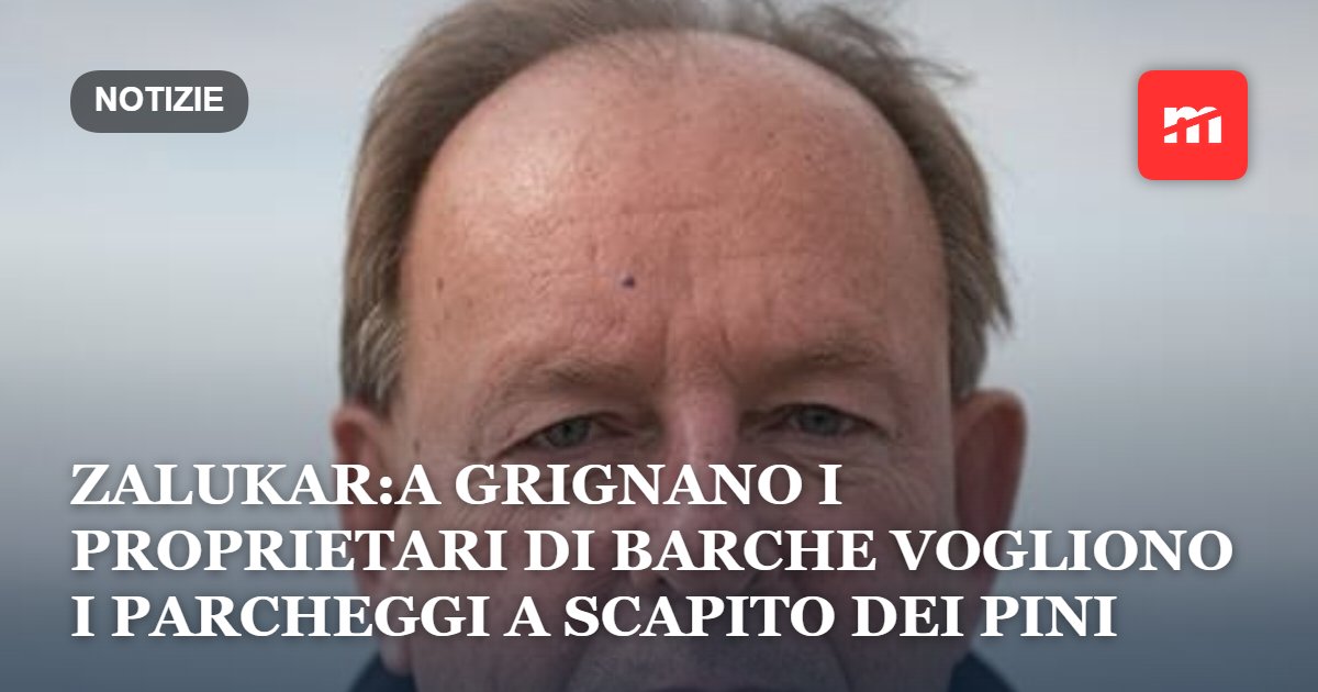 Zalukar: "A Grignano i proprietari di barche vogliono i parcheggi anche a scapito dei pini"